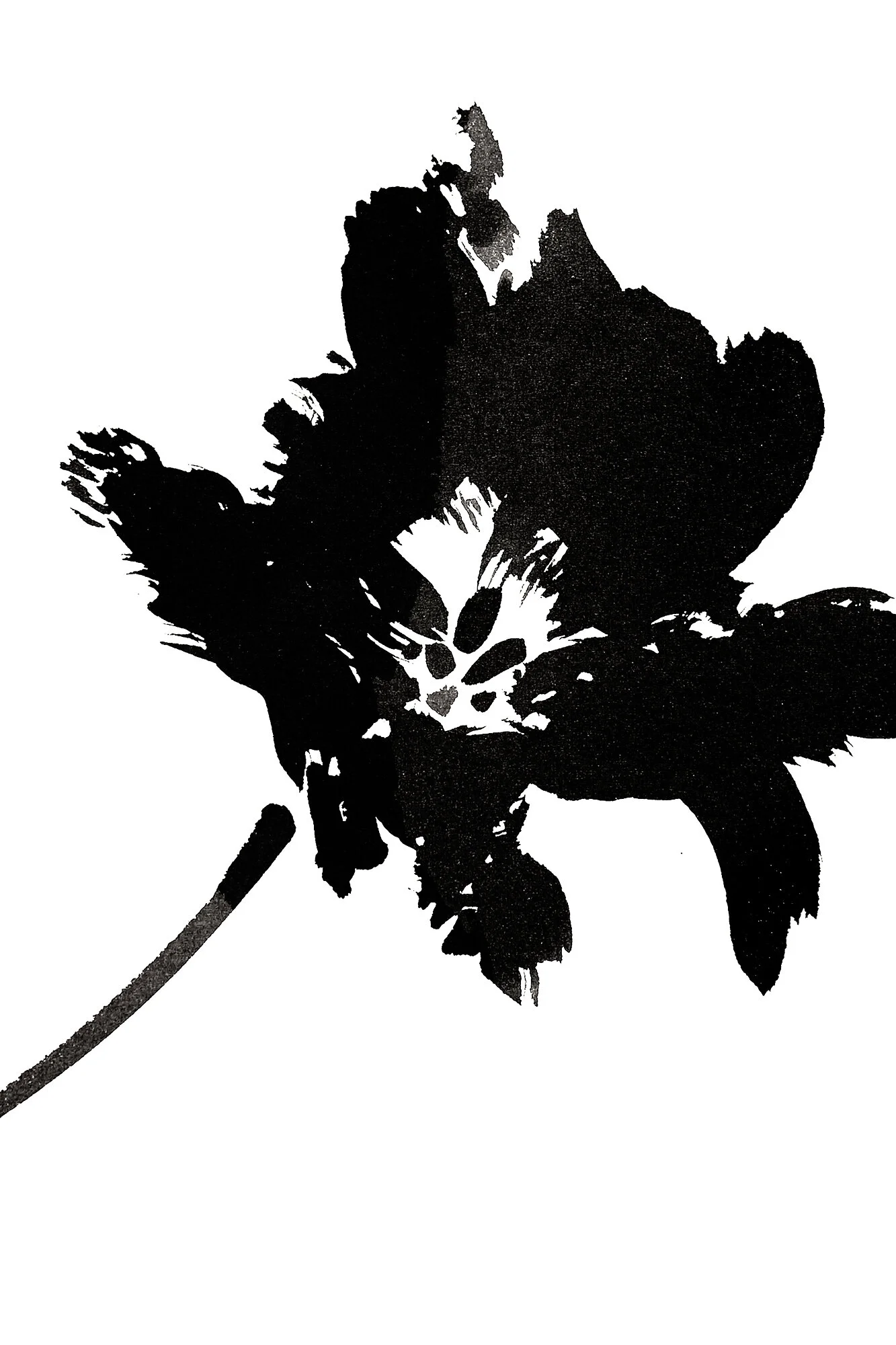 FRINGED TULIP-3 PRINT 12X18-DETAIL2000.jpg