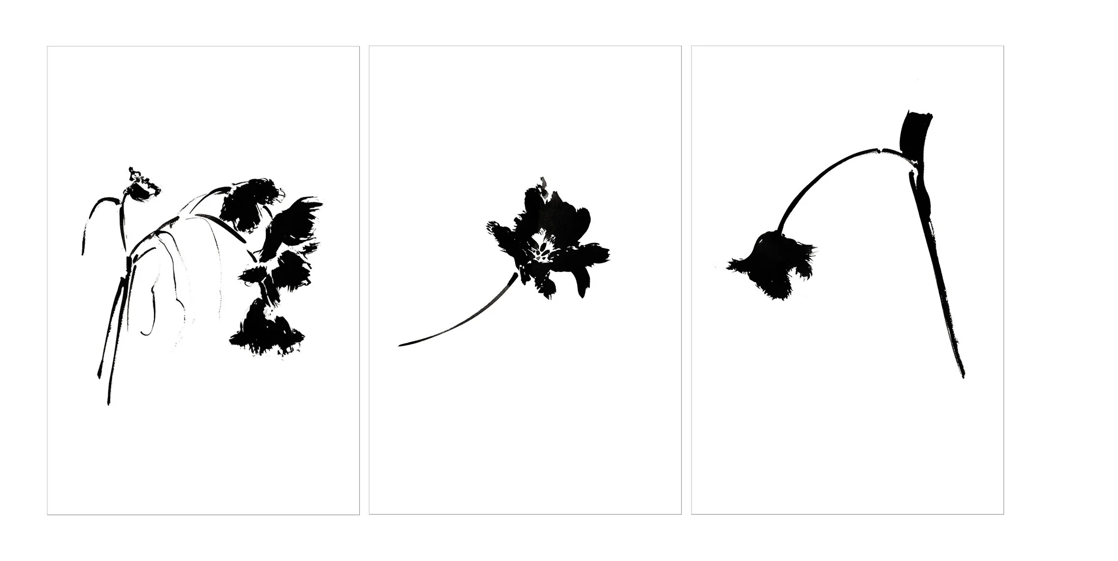 FRINGED TULIP TRIPTYCH.jpg