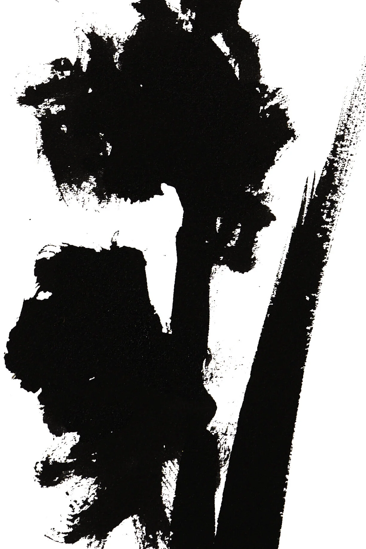 GLADIOLUS 4 PRINT 12x18-DETAIL2000.jpg