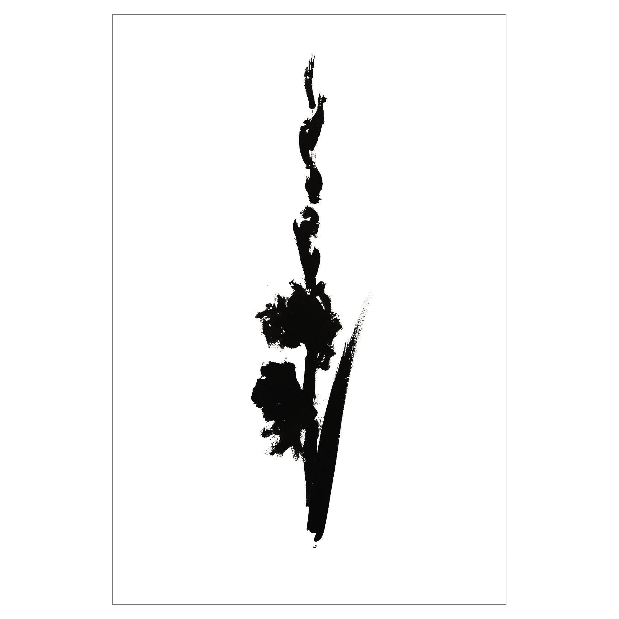 GLADIOLUS 4 PRINT 12X18-Rlse2000SQUARESPACE.jpg