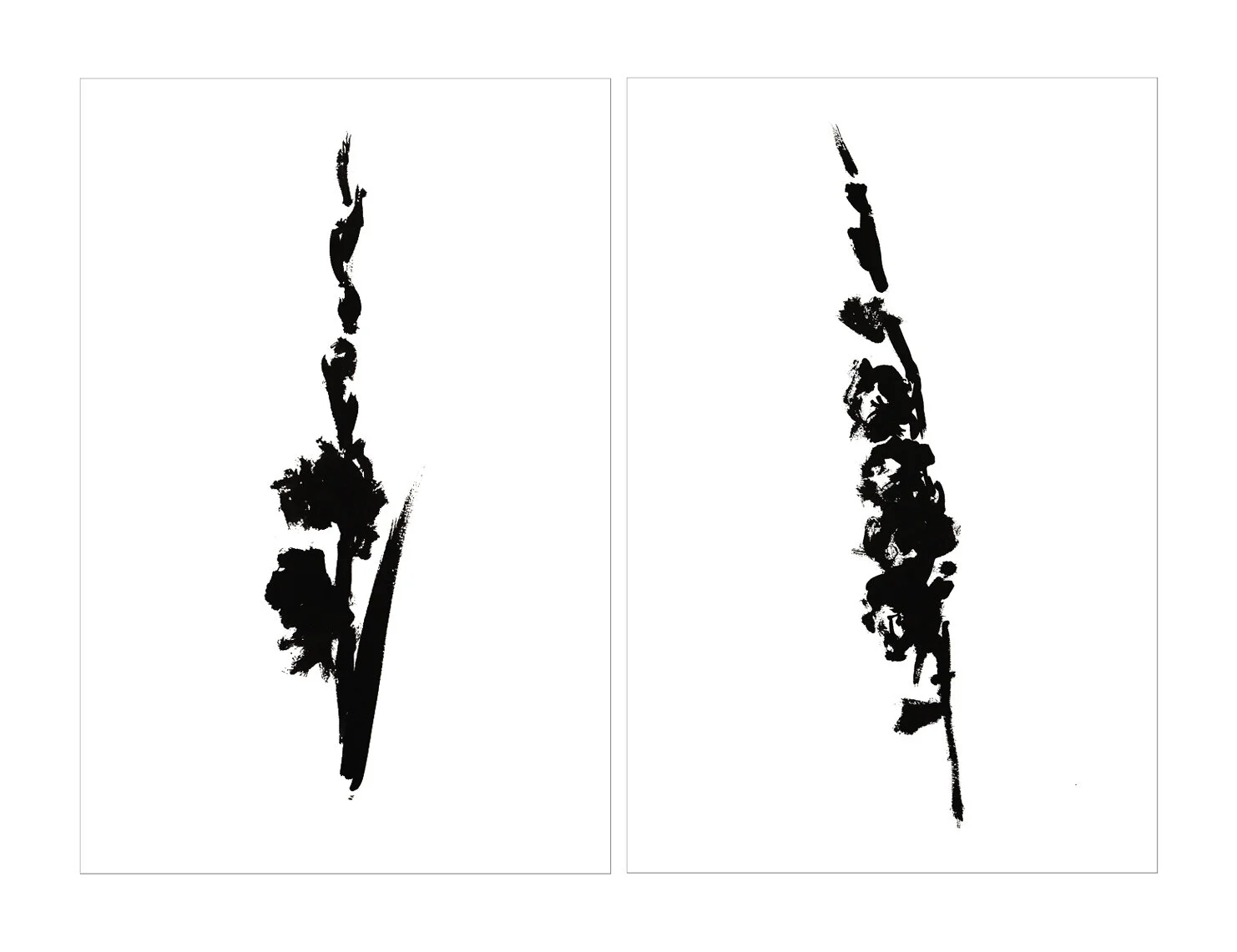GLADIOLUS 2&4 DIPTYCH.jpg