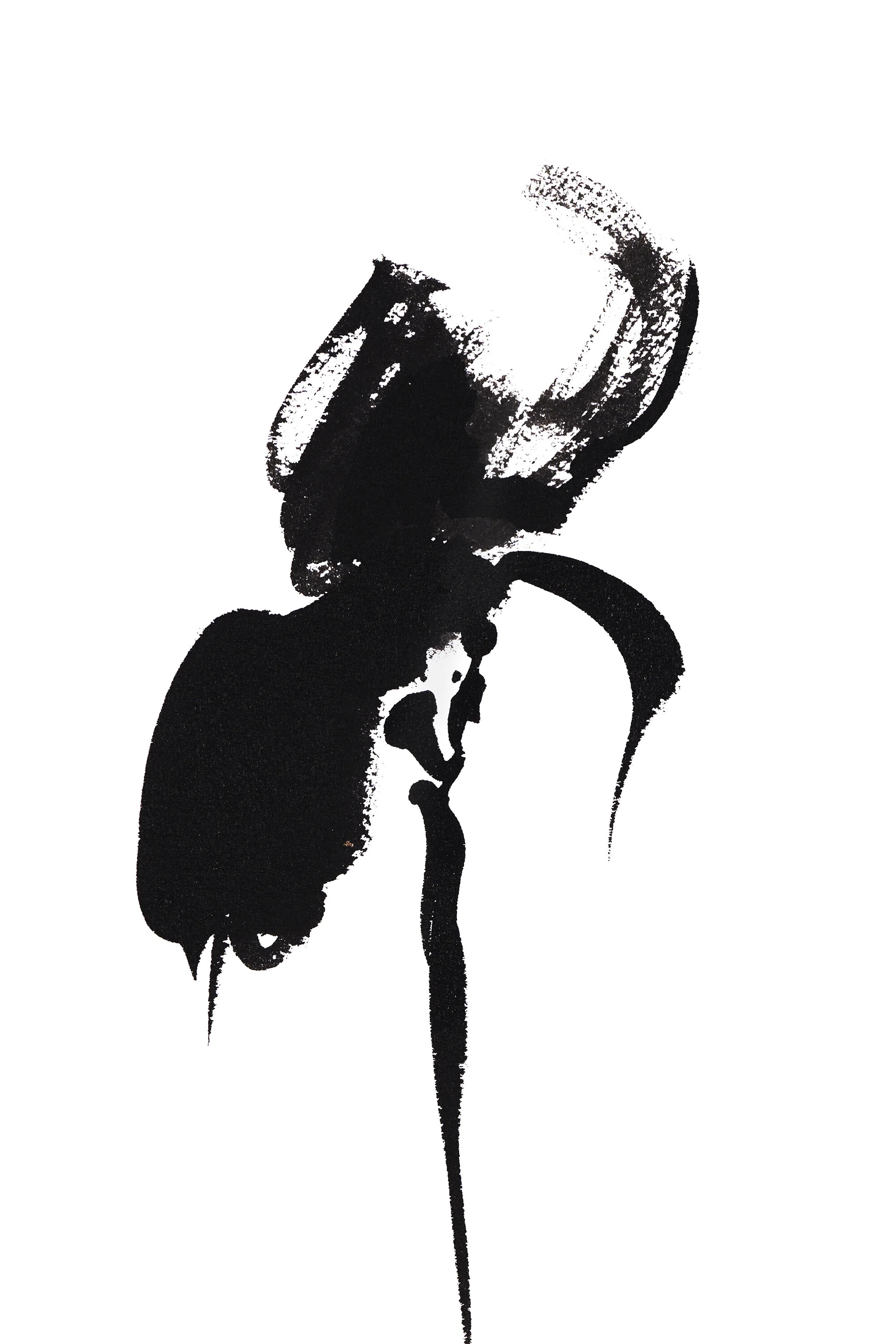 IRIS 15 - PRINTDETAIL.jpg