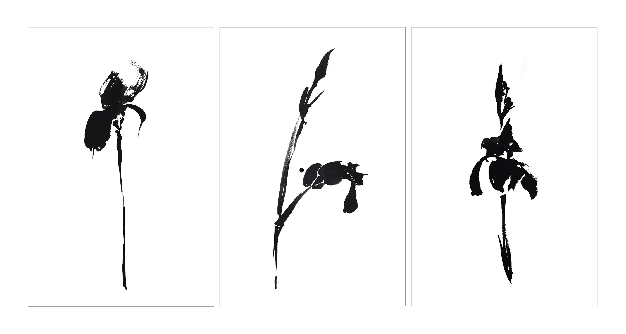 IRIS TRIPTYCH.jpg