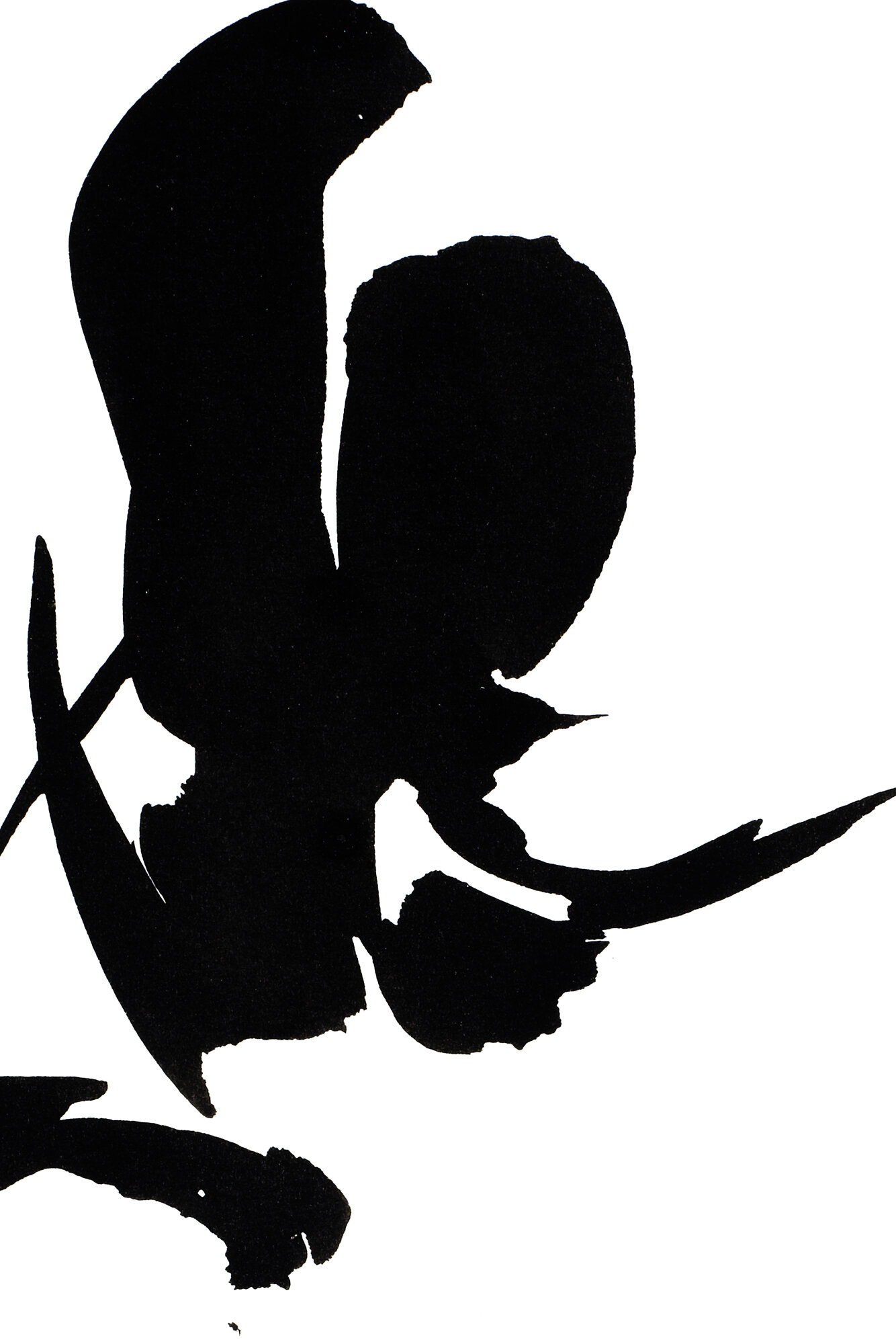 ORCHID 1 PRINT 18x12-DETAIL2000.jpg