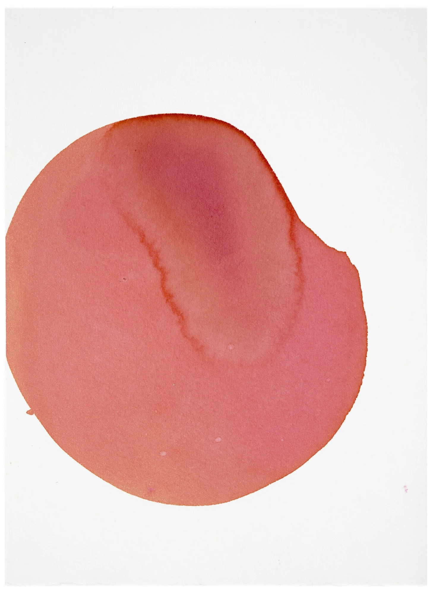 THE WOMB #8