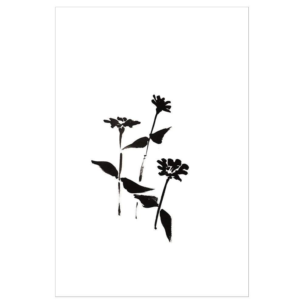 ZINNIA-1 12x18 PRINT-Rlse1000FRAMED&SQ copy.jpg