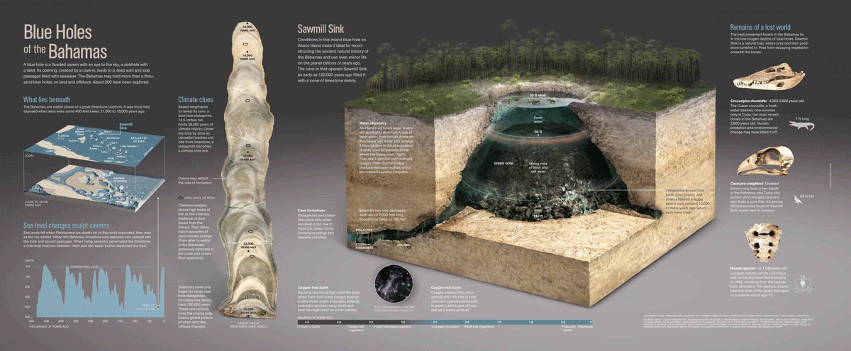 Bahamas-Cave-GF-MM7730_002(2).gif
