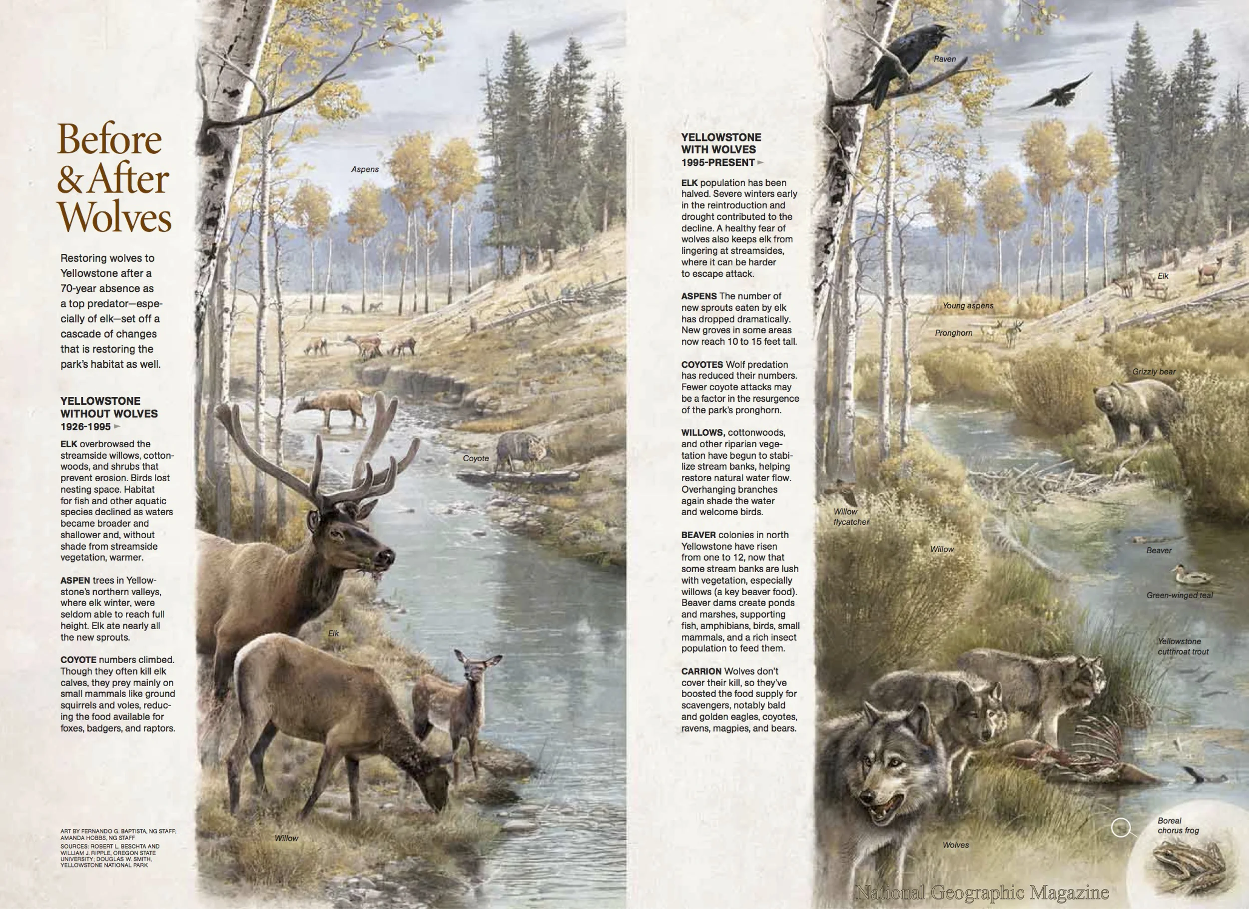 National Geographic magazine, March 2010. Reproduced with permission. Art by Fernando G. Baptista, NG Staff; Amanda Hobbs, NG Staff.