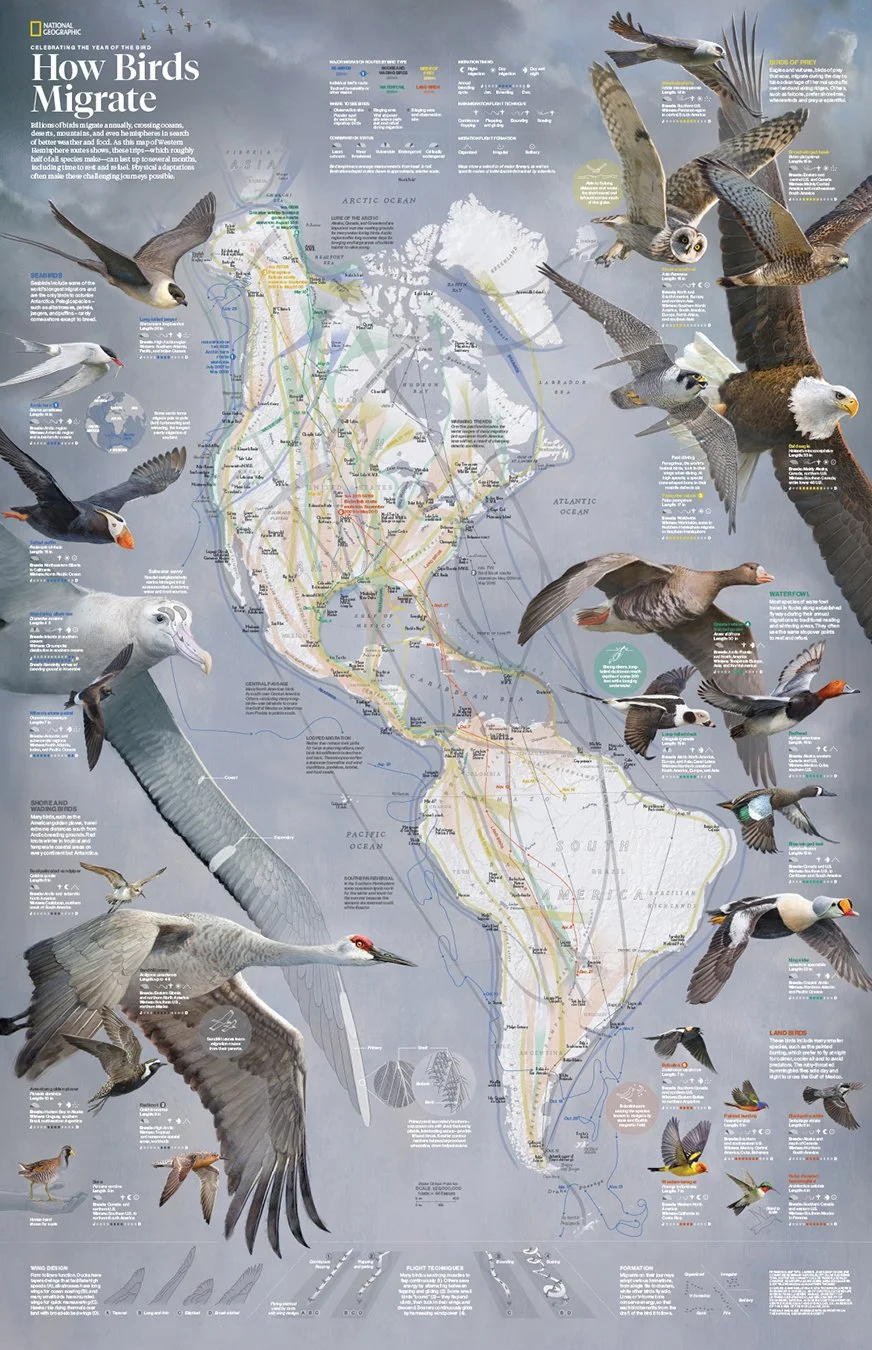 National Geographic magazine, March 2018. Reproduced with permission. Fernando G. Baptista, Lauren E. James, Daisy Chung, Eve Conant, Irene Berman-Vaporis, Scott Zilmer, Adrienne Tong, Matthew W. Chwastyk, Clare Trainor, and Riley Champine, NGM Staff; Amanda Hobbs; Mesa Schumacher, Scott Elder; Shizuka Aoki; Matthew Twombly This double-sided supplement map was made possible with support from the National Geographic Society.