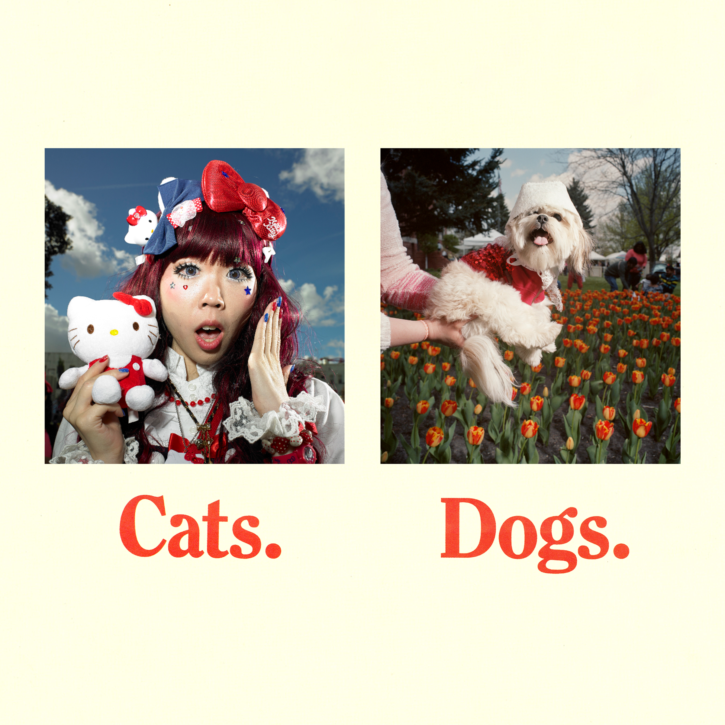 FN_IG_NH_CatsDogs04.png