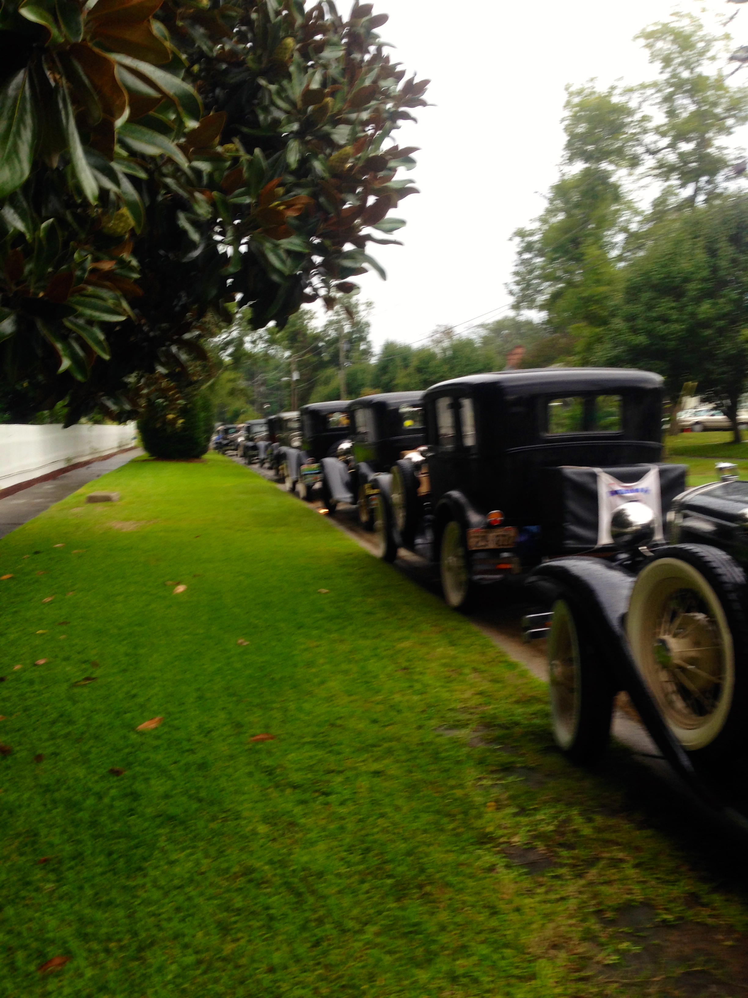 Part of the line-up in front of our house.