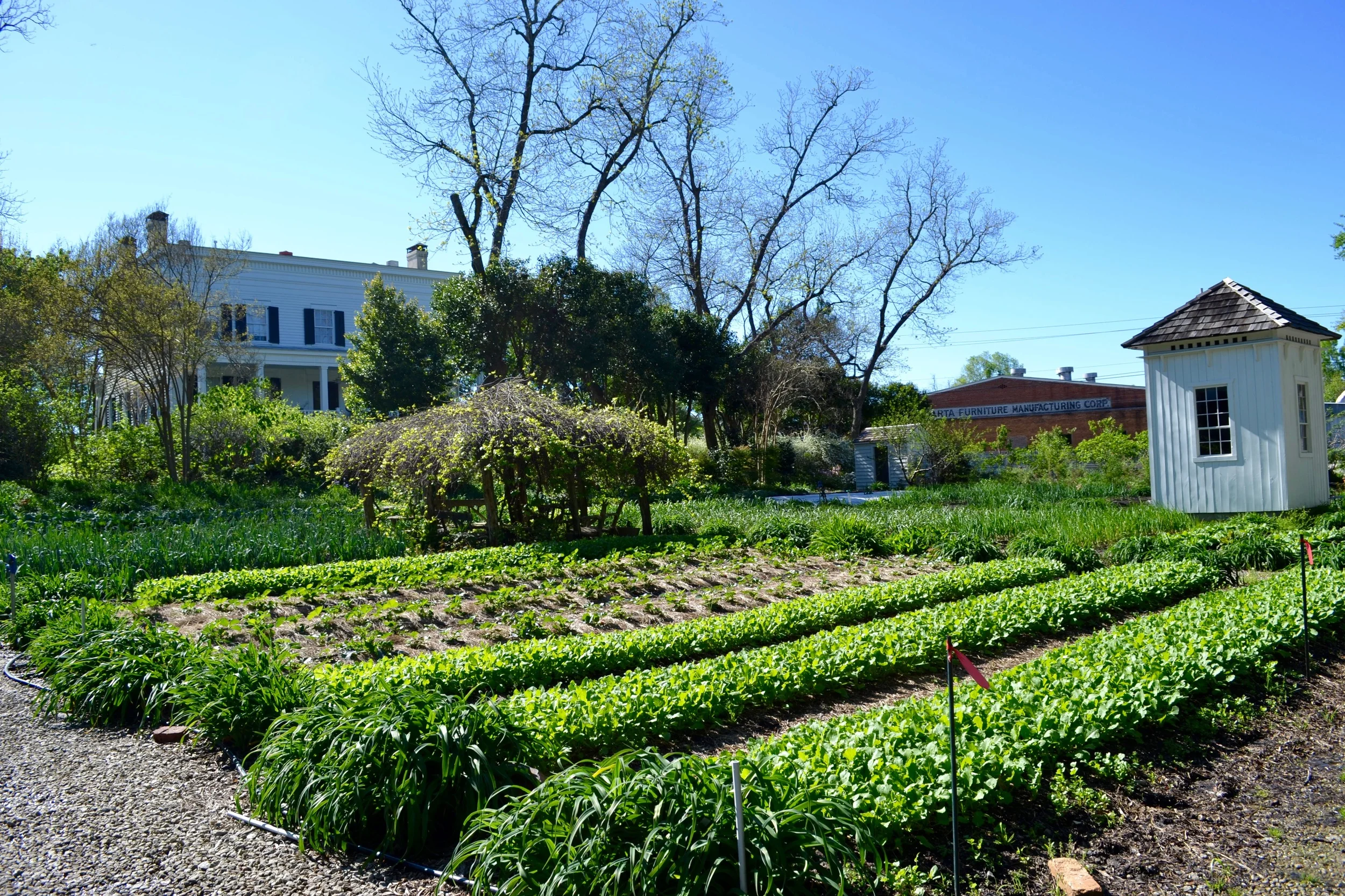 Elm Street Gardens begins to glow with green in the spring.