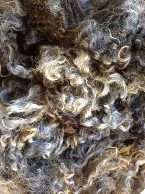 variegated fleece.jpg