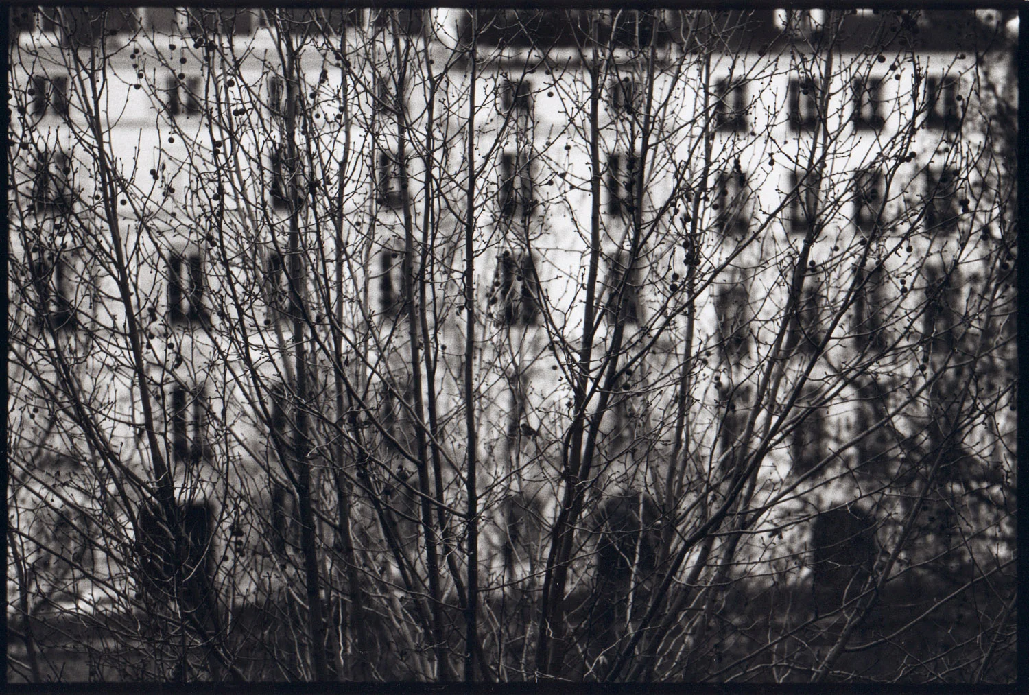 View from my Paris room.jpg