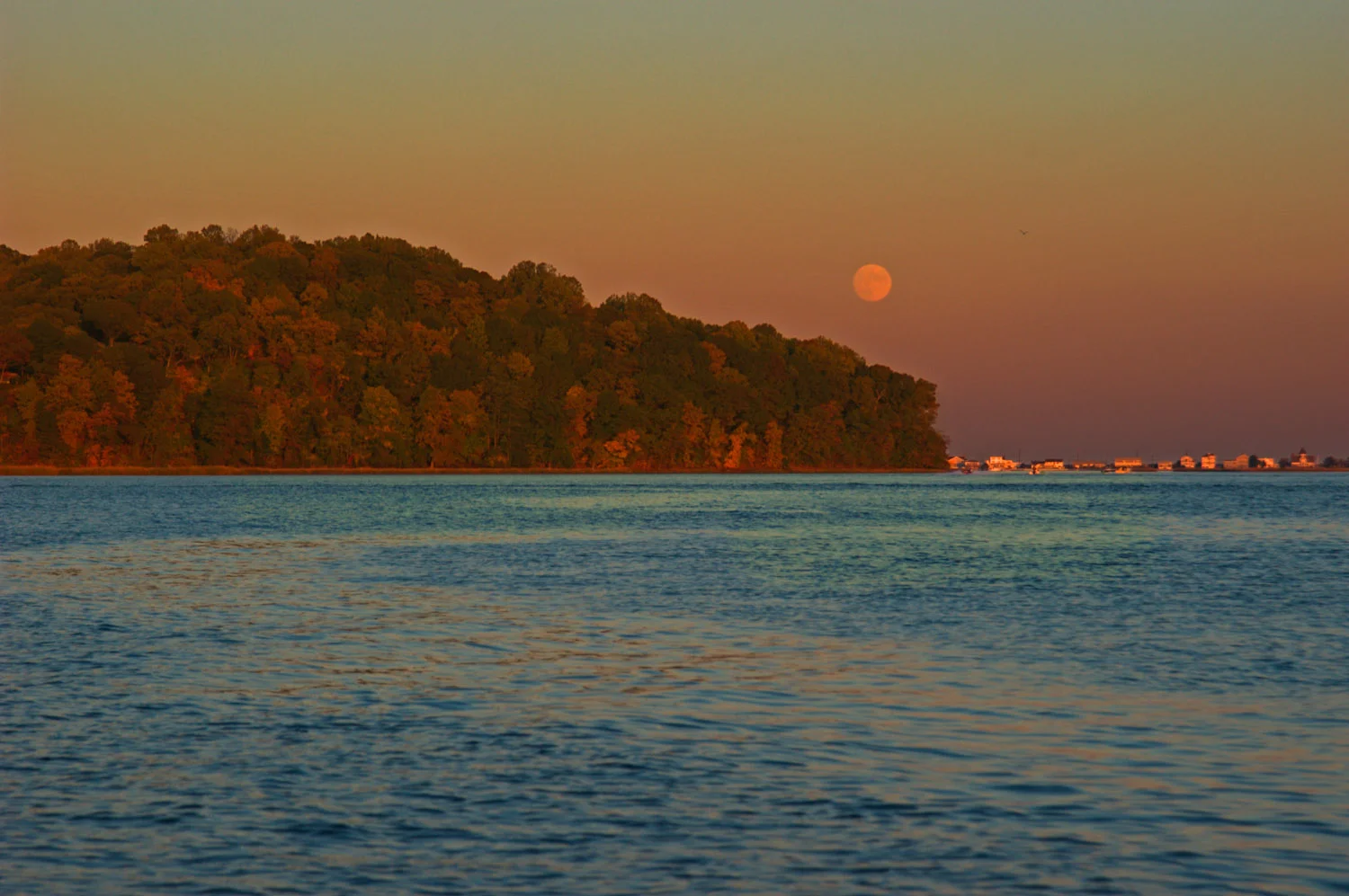 DSC_5283 moon letterV2Twk4L.jpg