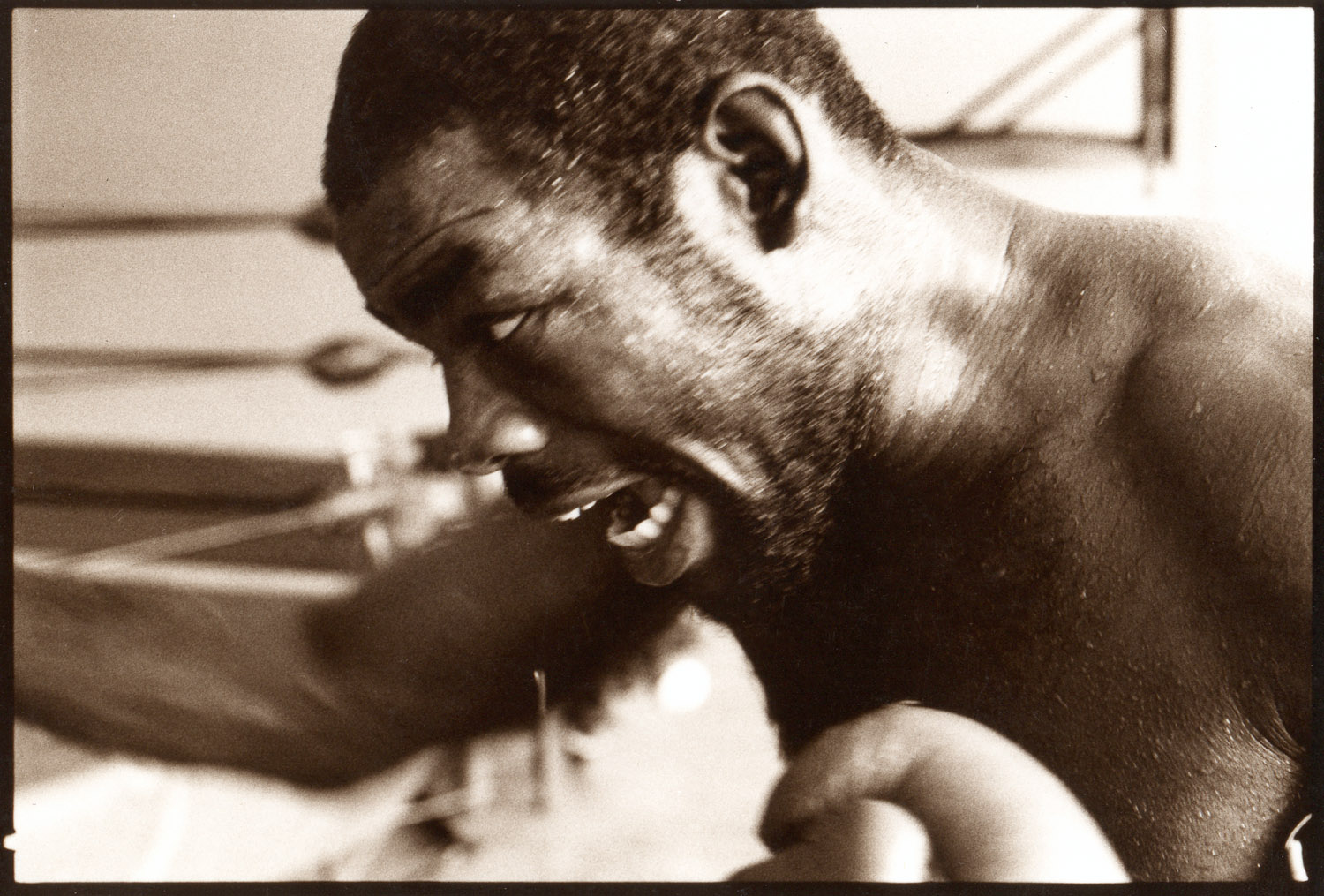 Boxer copy.jpg