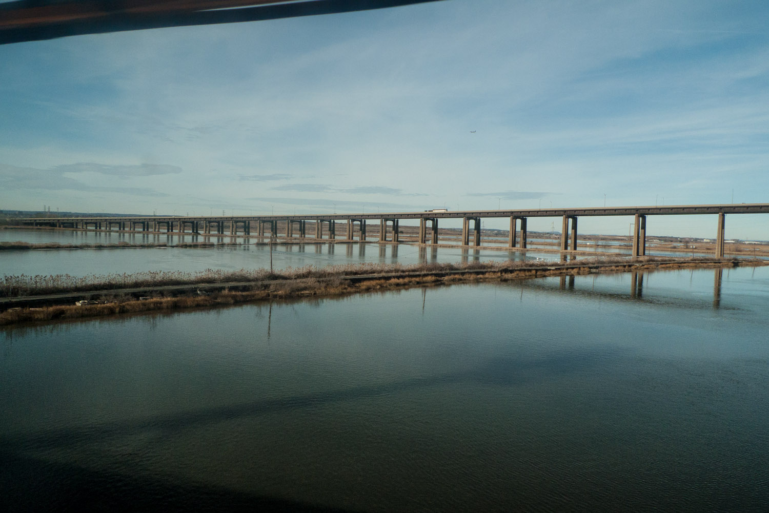 P1000729.jpg