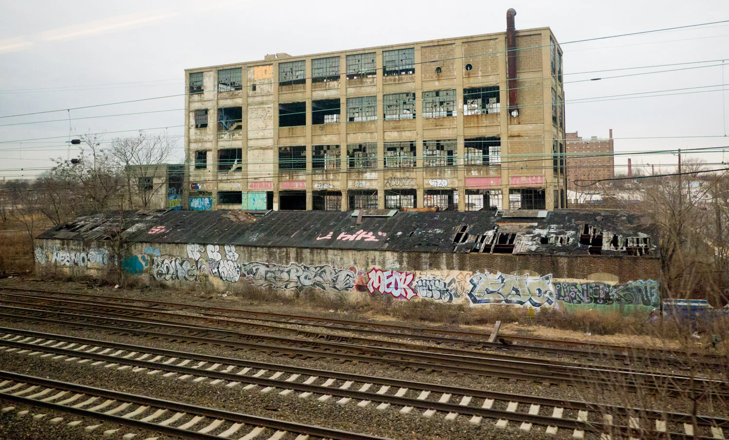 _1030324.jpg