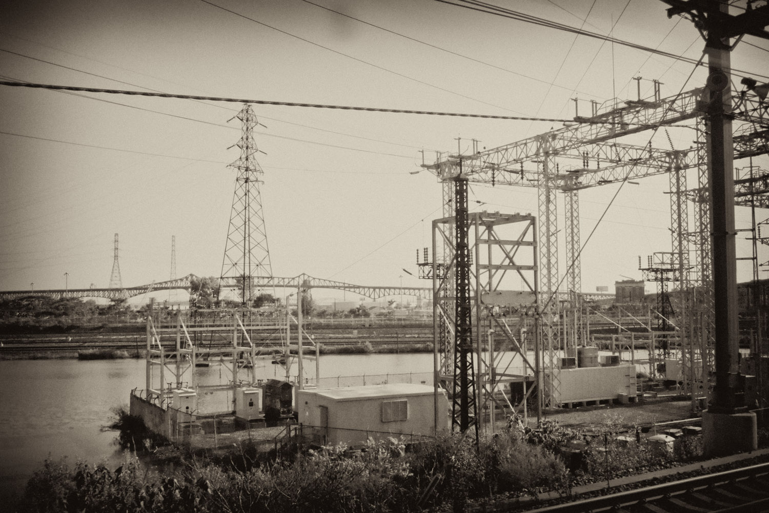 P1030814V1.jpg