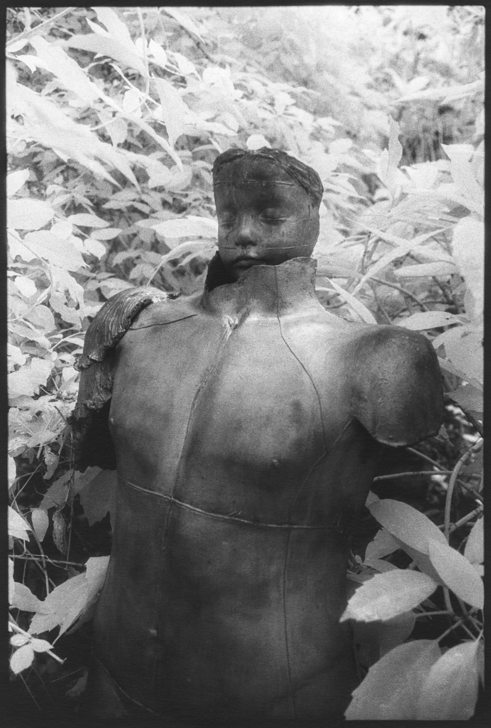 Infrared baby boy copyAAA.jpg