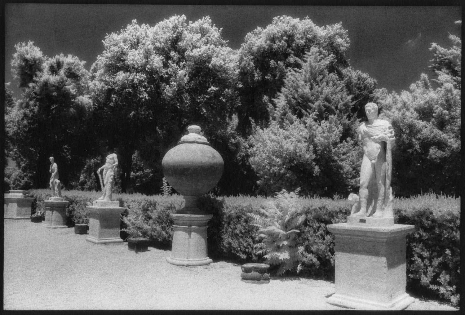 Infrared Roman Dream GardenAAA.jpg