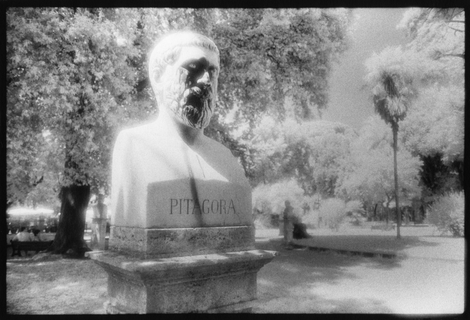 Rome Bust--Pythagoras InfraredAAA.jpg