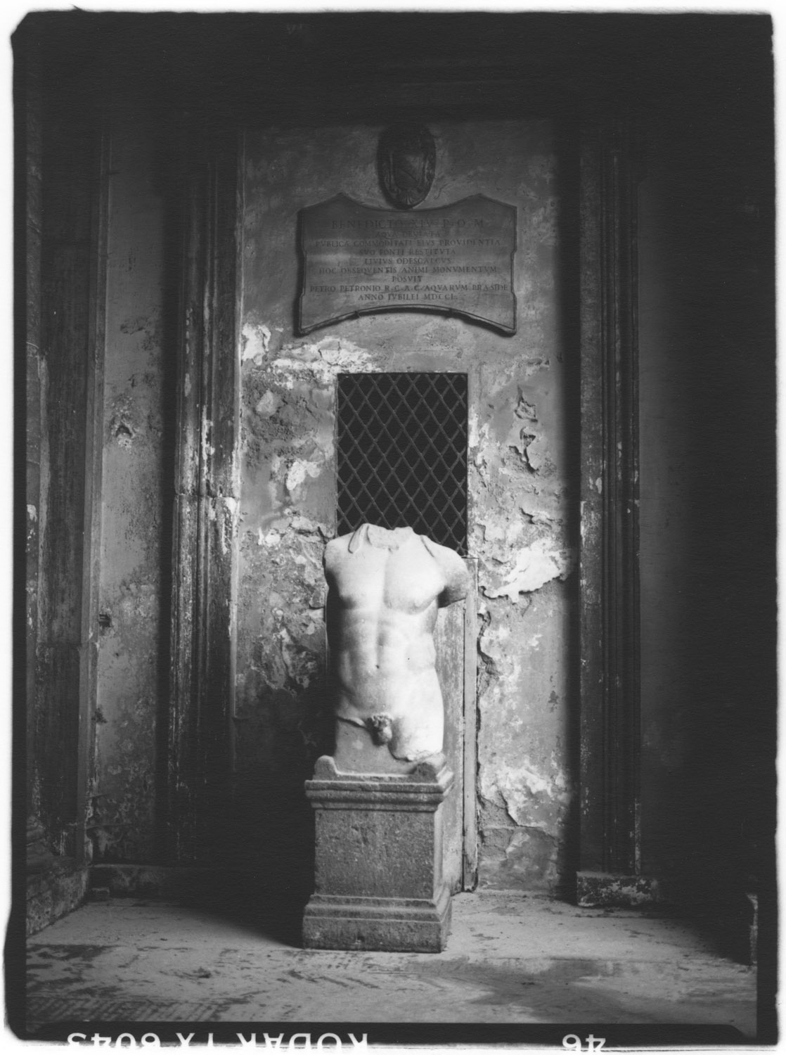 Roman Male TorsoAAA.jpg