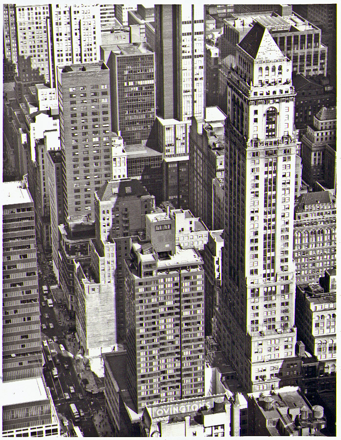 NYC scape 1AAA.jpg