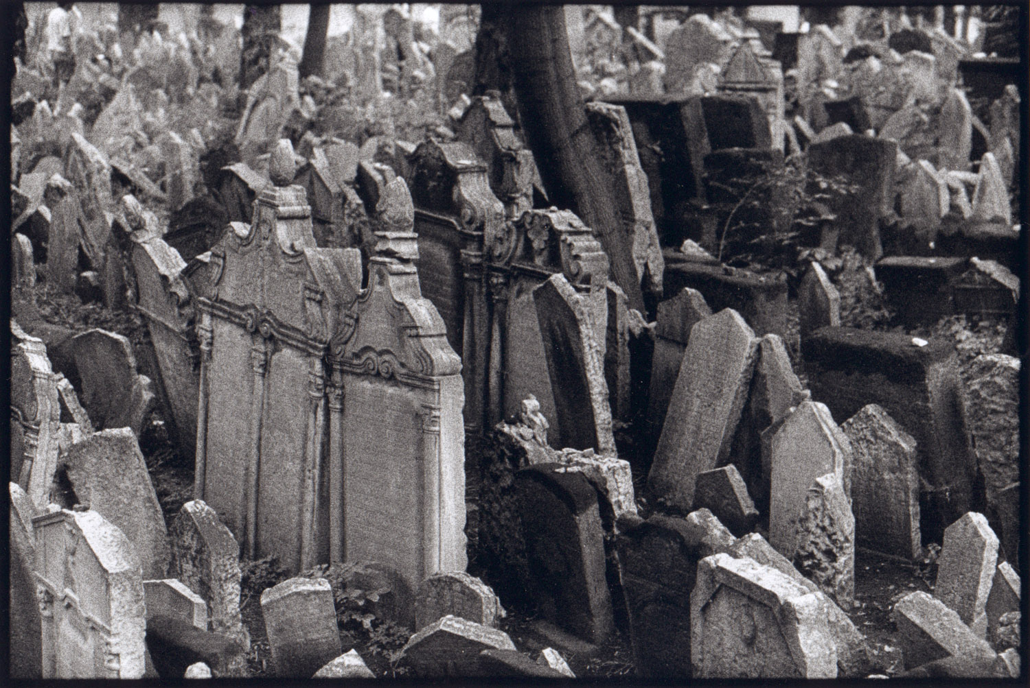 Prague Cemetary 3AAA.jpg