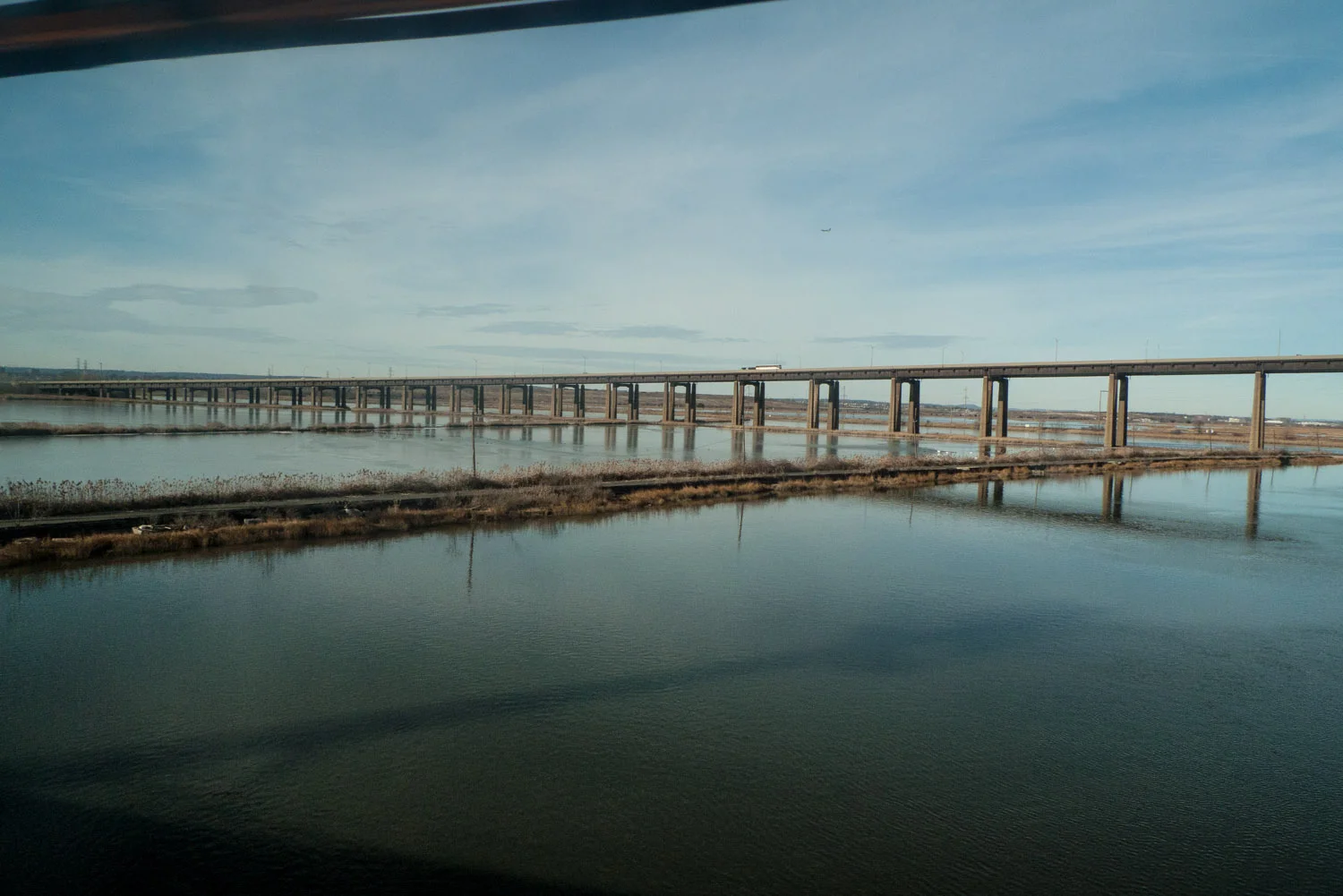 P1000729AAA.jpg