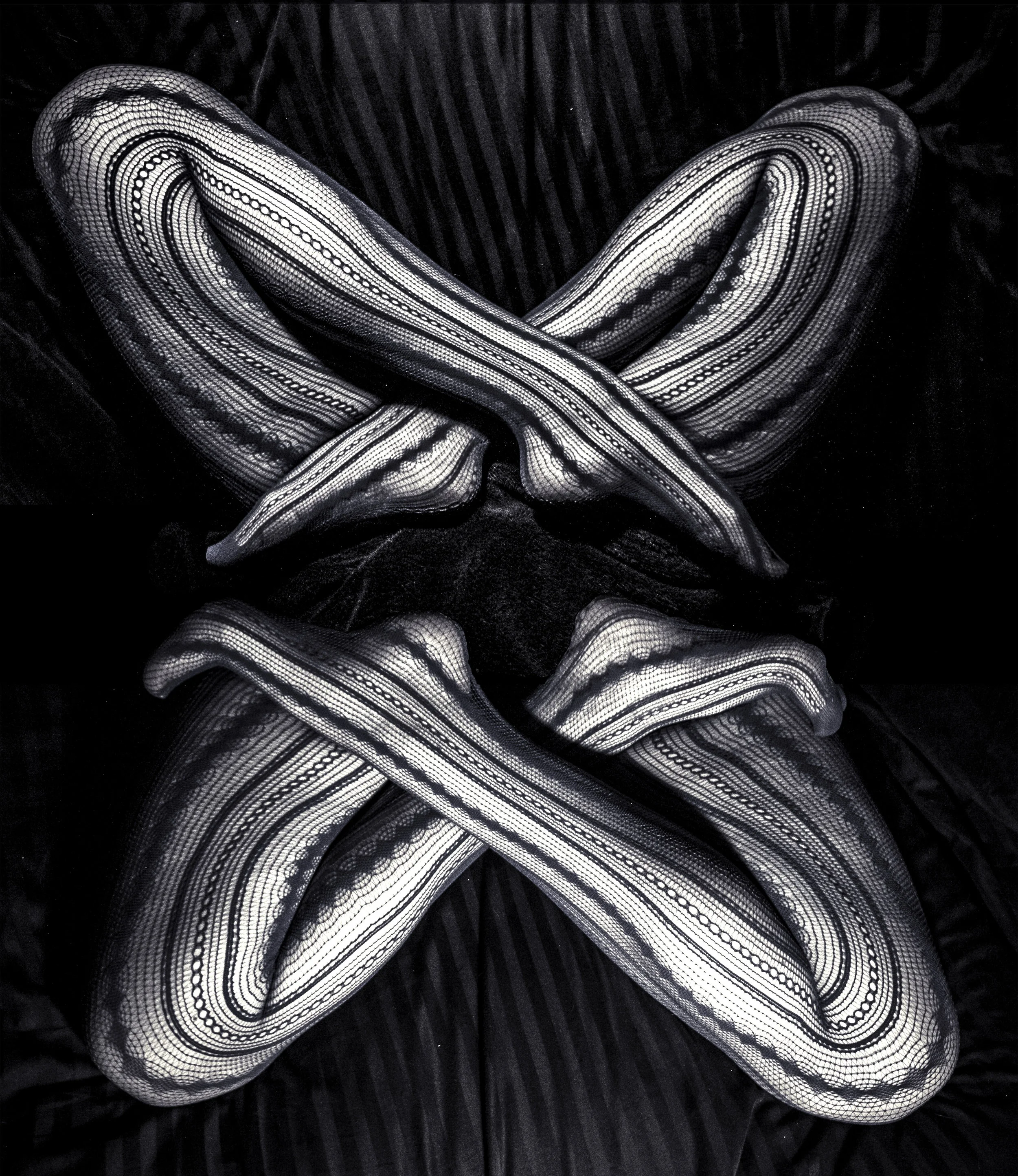 Butterfly Effect.jpg