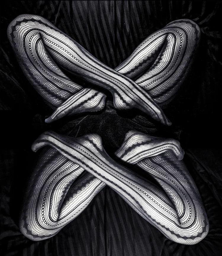 Butterfly Effect — art by Cameron Paris Cloud