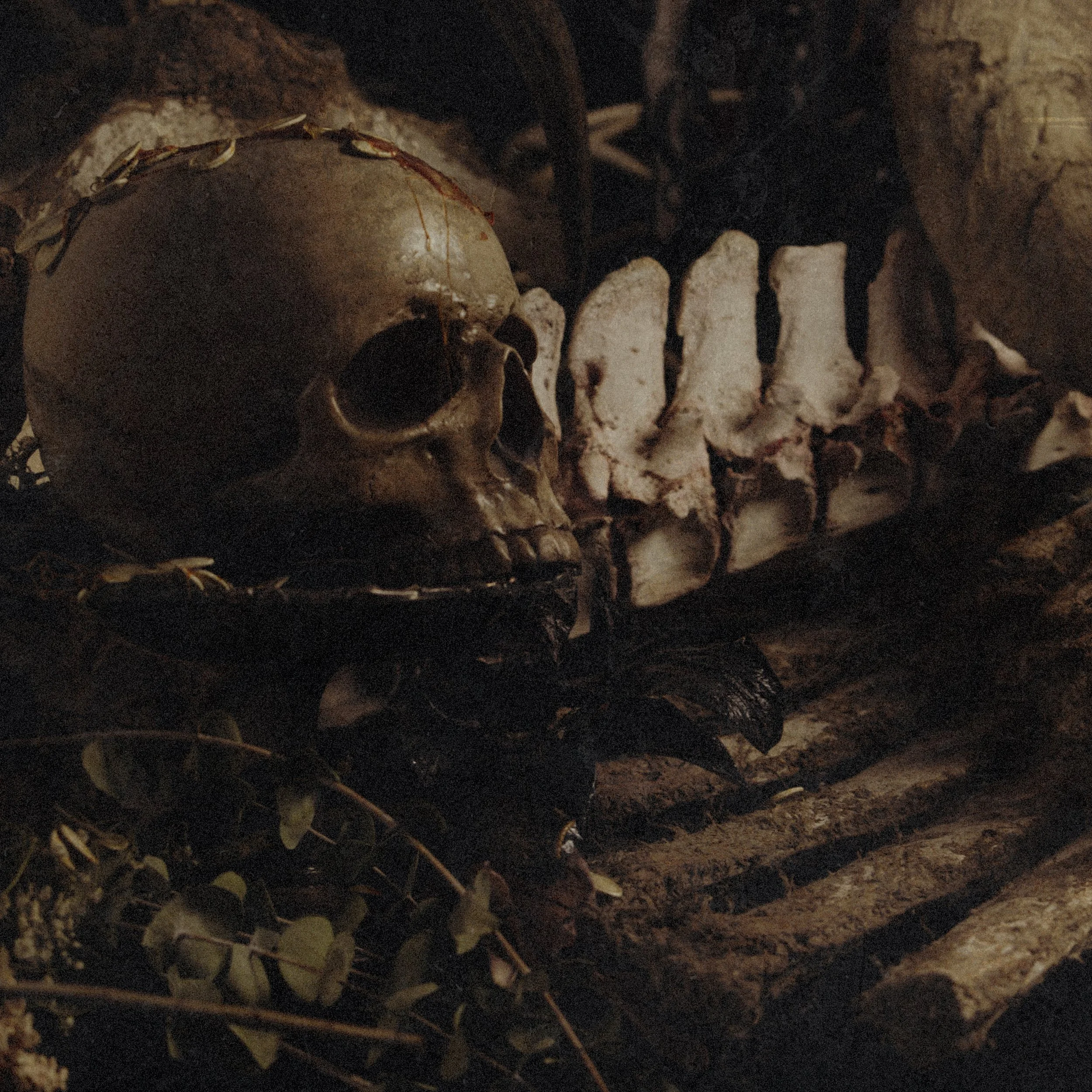 Skull album art.jpg