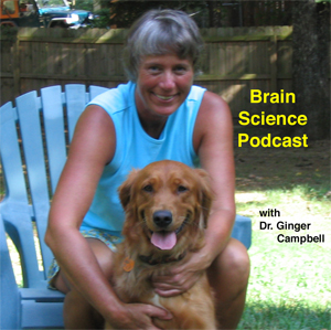 BrainScience-logo1.jpg