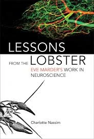 Eve Marder's Life in Neuroscience (BS147)