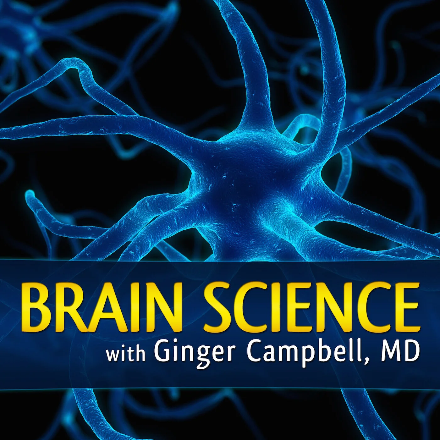 Brain Science-1400.jpg
