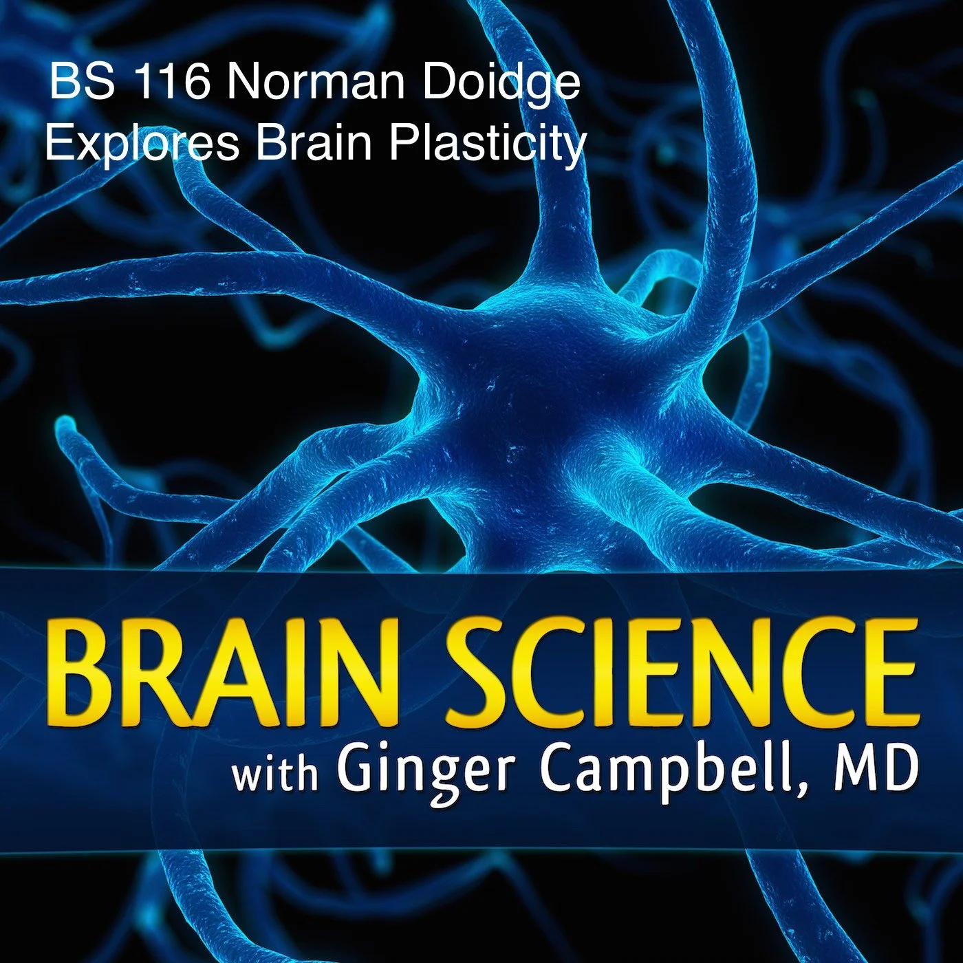 Brain Science-116.jpg