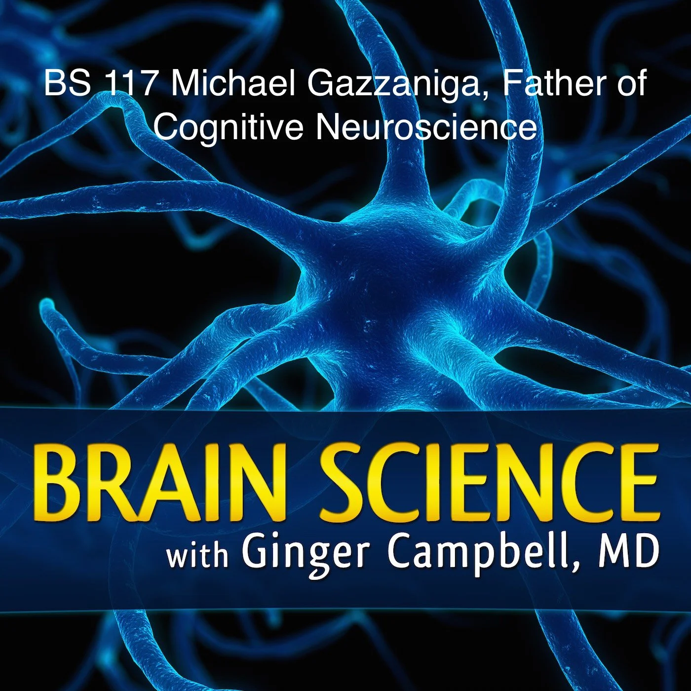 Brain Science-117.jpg