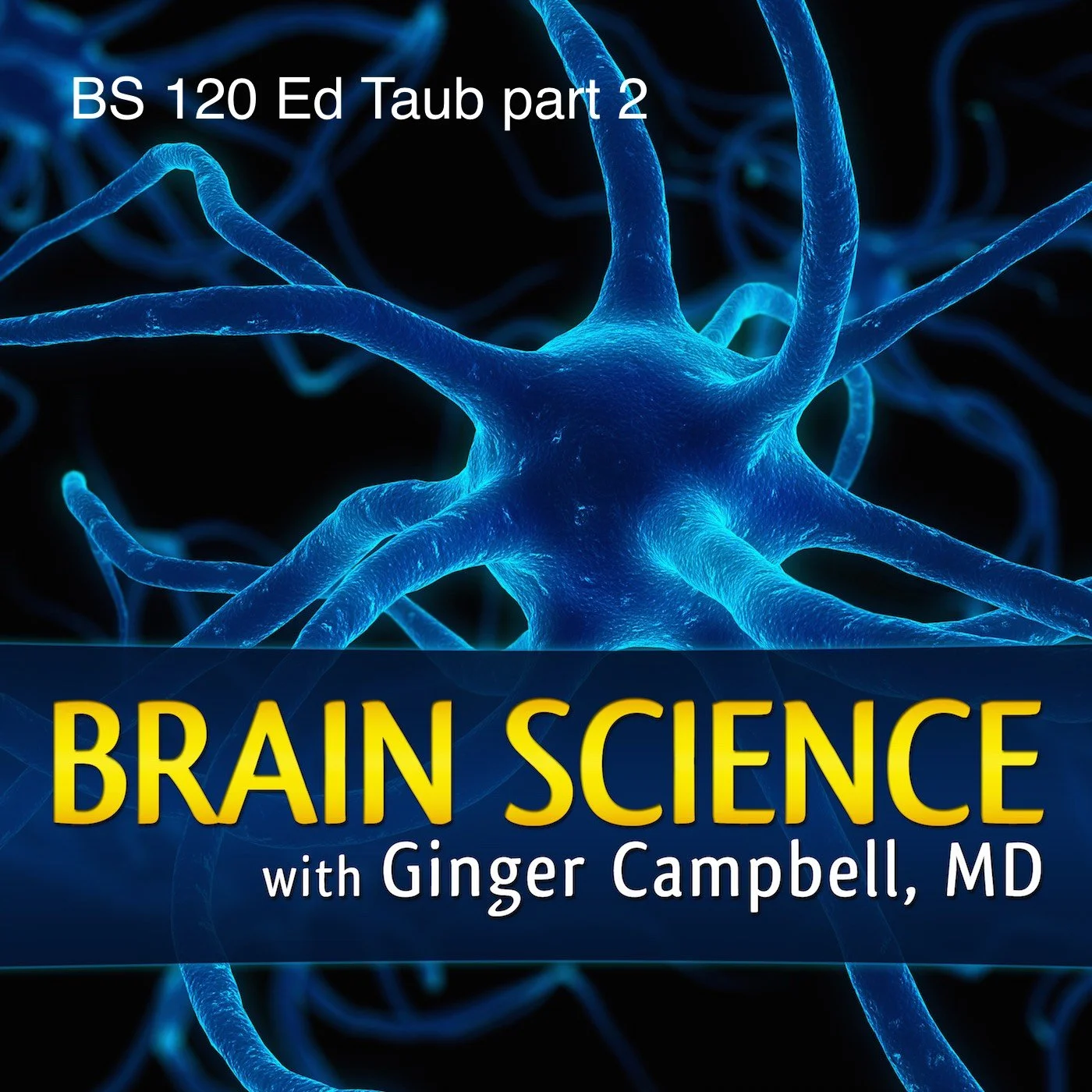 Brain Science-120.jpg