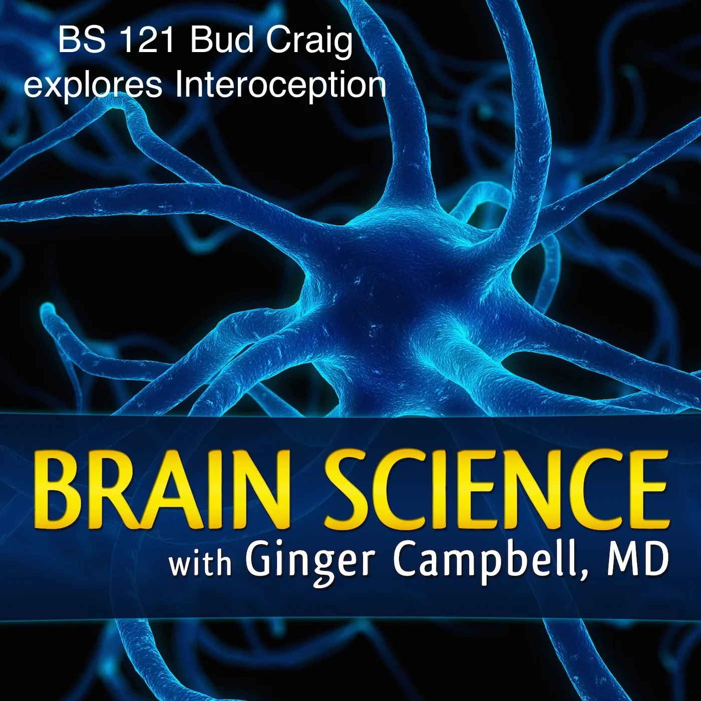 Brain Science-121.jpg