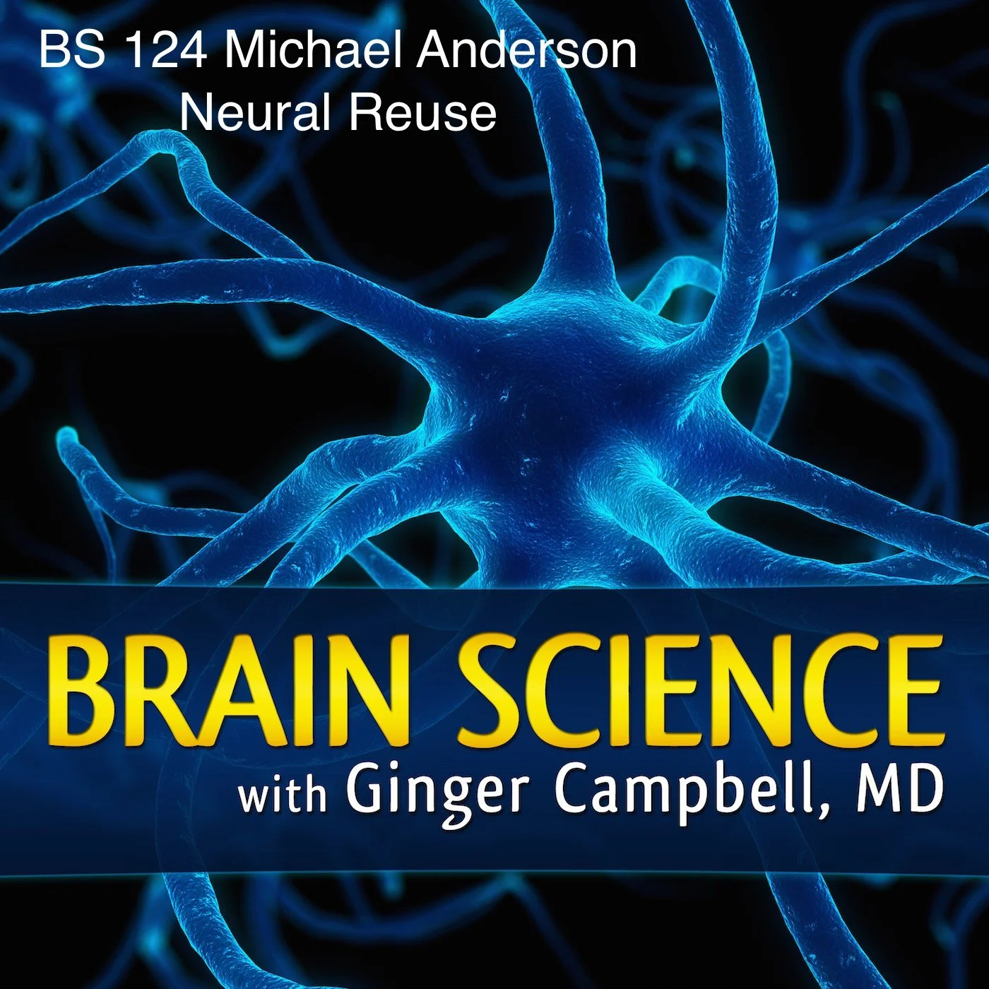 Brain Science-124.jpg