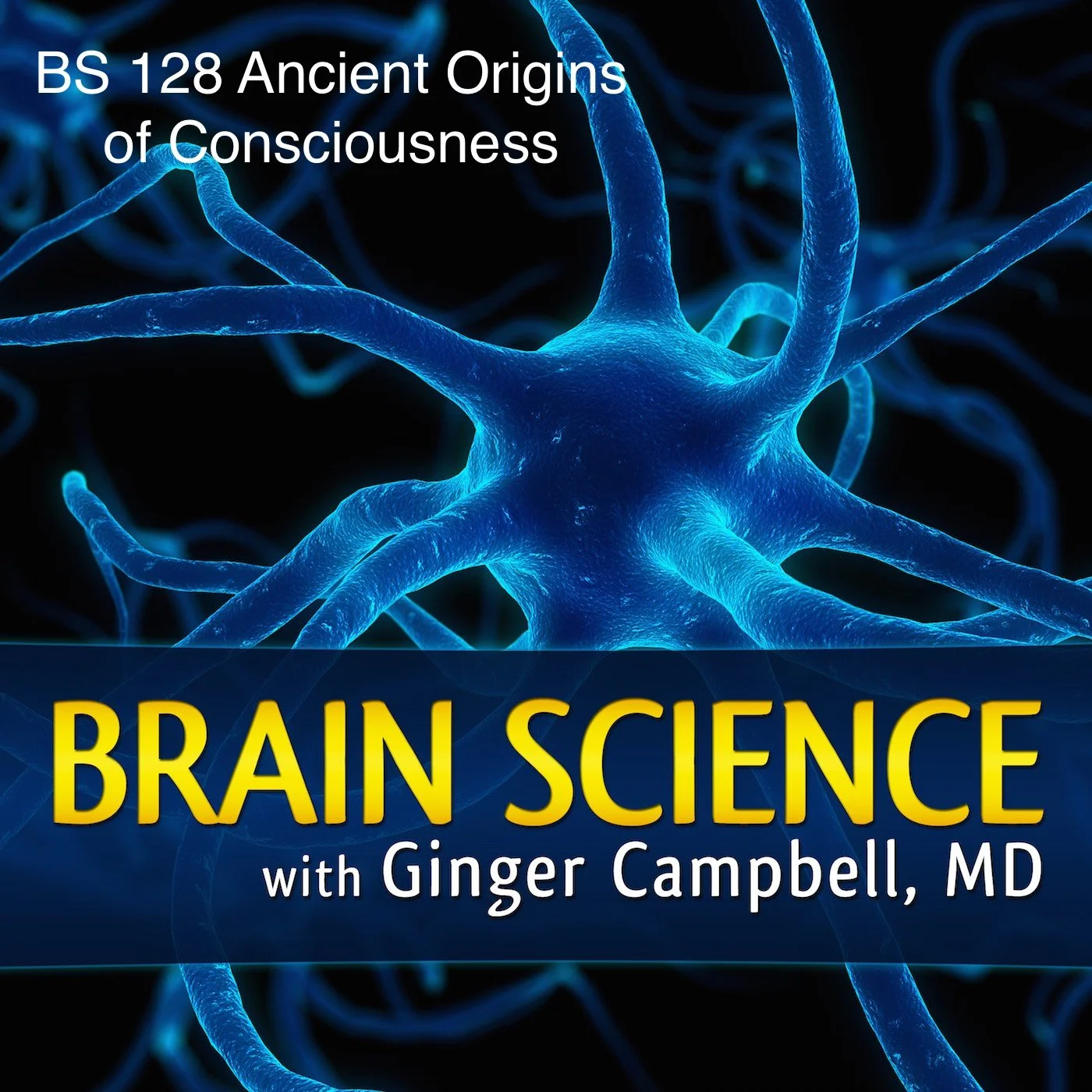 Brain Science-128.jpg