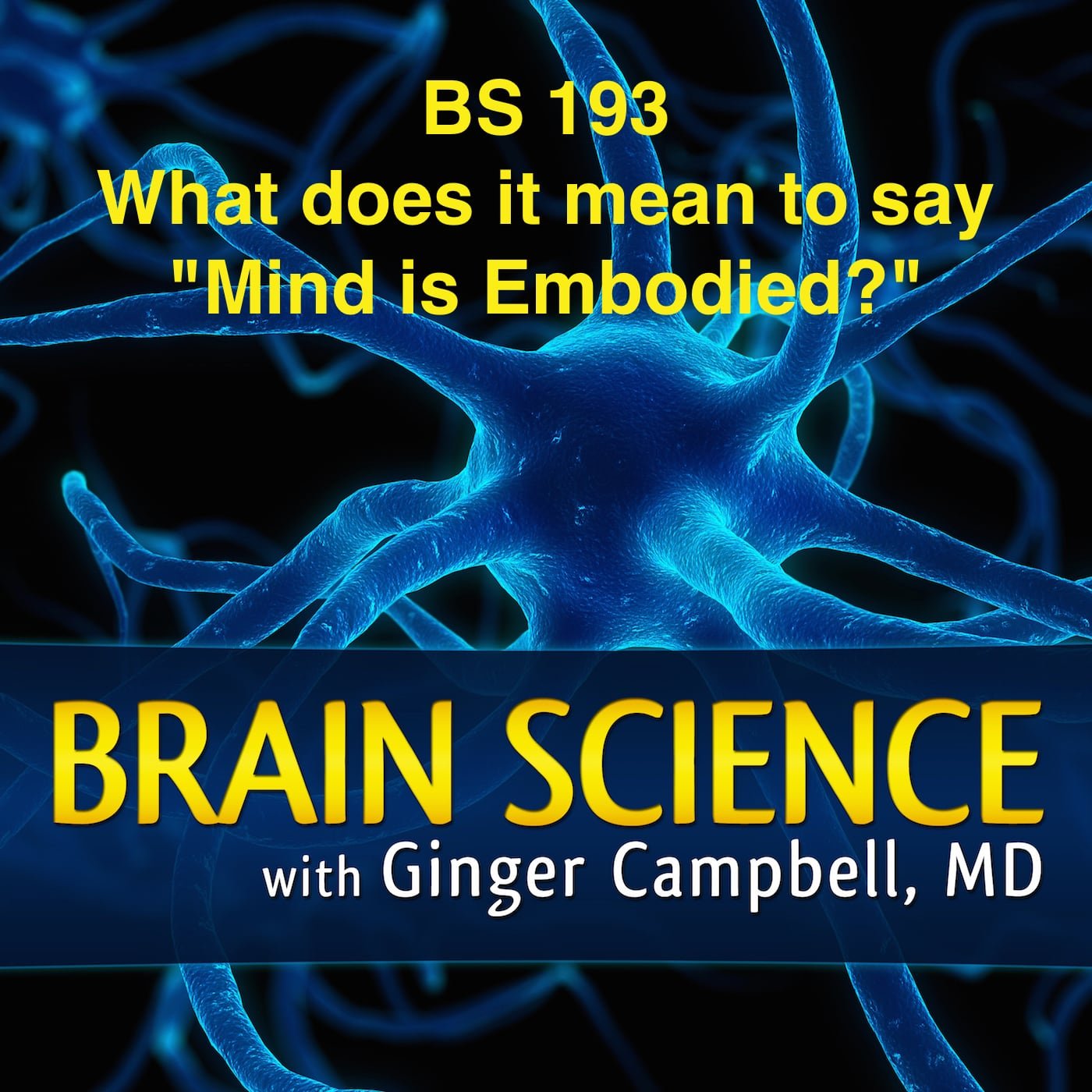 What does it mean to say "the Mind is Embodied?" BS 193