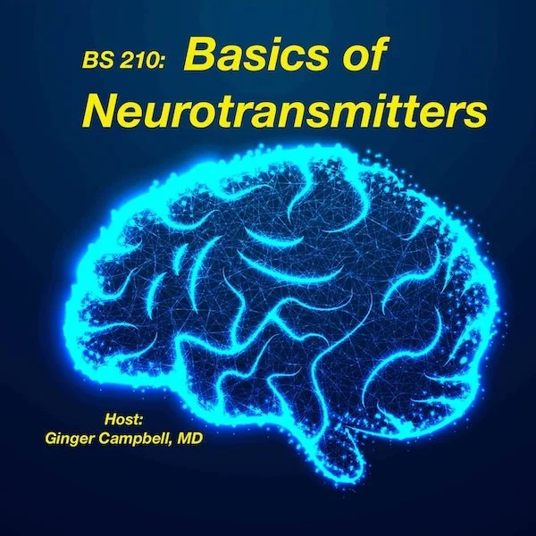 Basics of Neurotransmitters (BS 210)