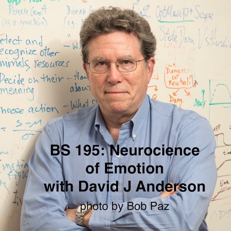 Neuroscience of Emotion with David J Anderson (BS 195) — Brain Science