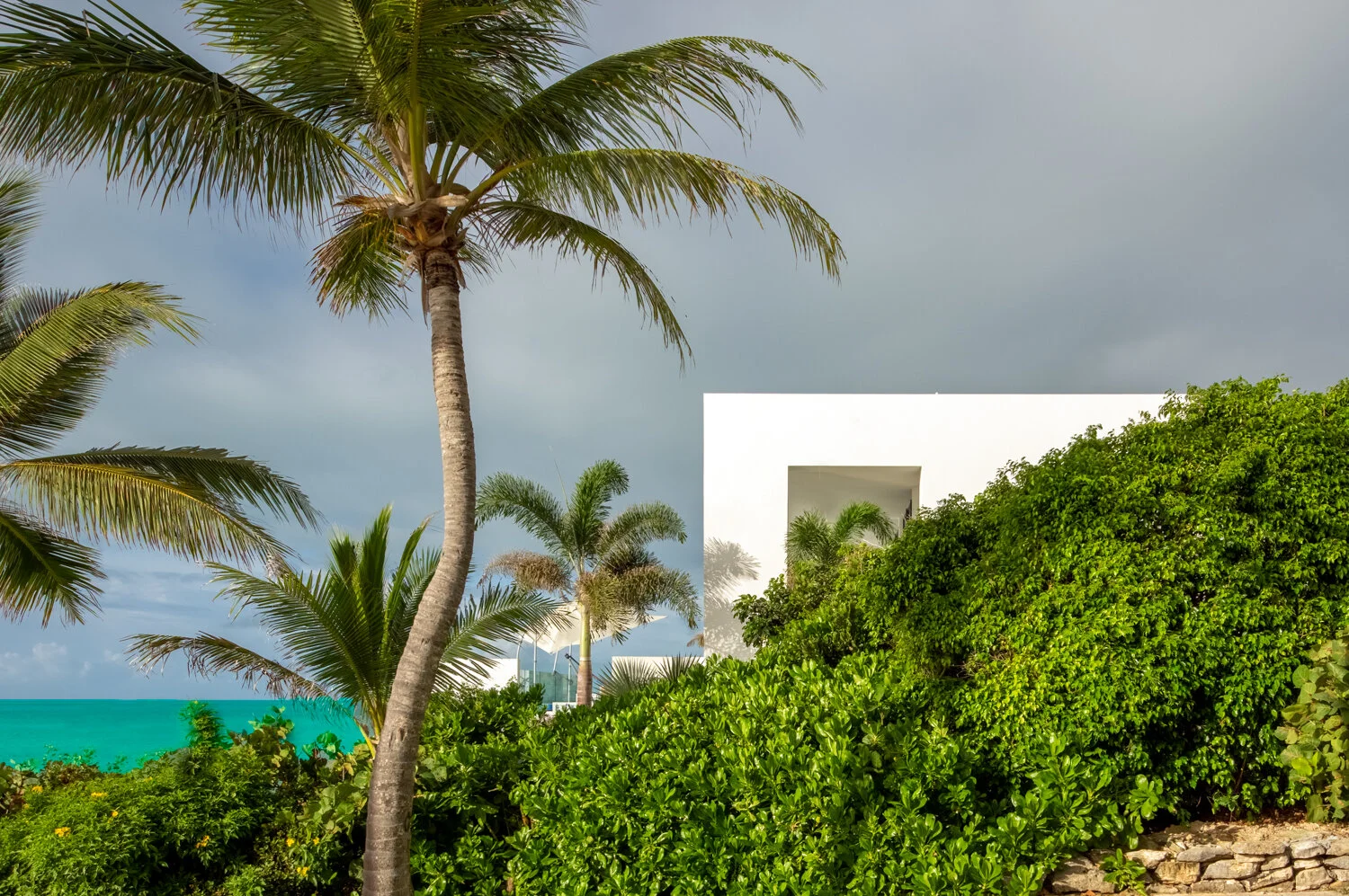20191112-IMGP3107-HDR-Edit-Edit.jpg