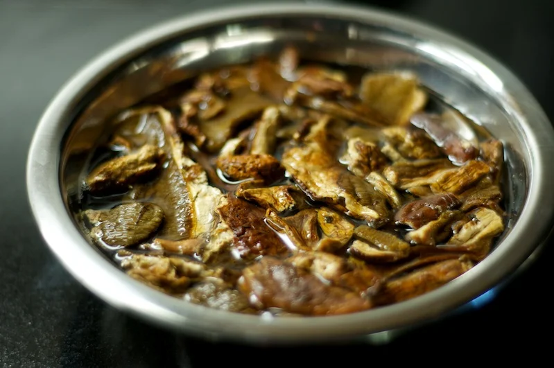 porcini.jpg