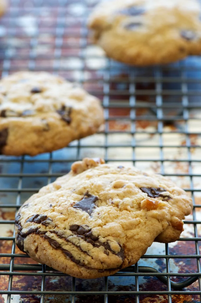 chocolate_tahini_cookies2 (1).jpg