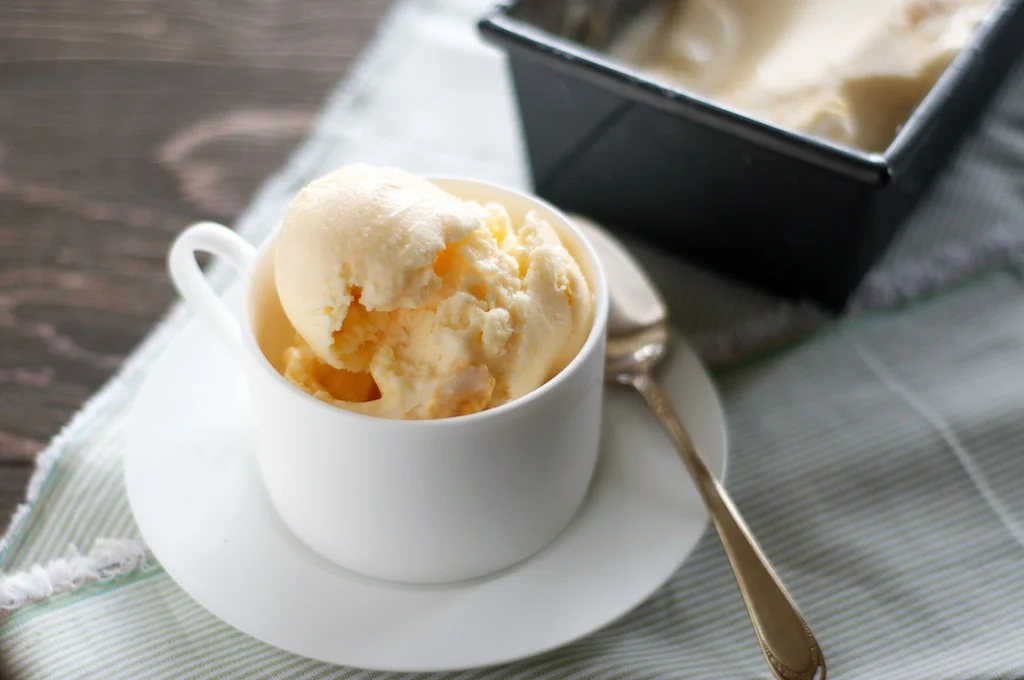 apricot_frozen_yogurt4.jpg