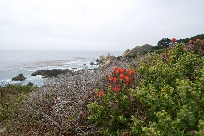 Along Highway 1